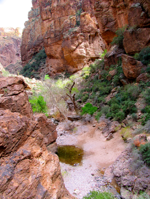 A pool of water, a remnant of the last rains, in a dry wash in Tonto NationalForest