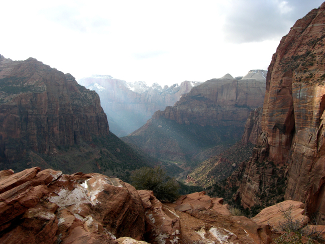 A view in Zion National Park
