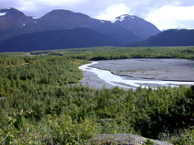 Mountains and a braided stream along the George Parks Highway