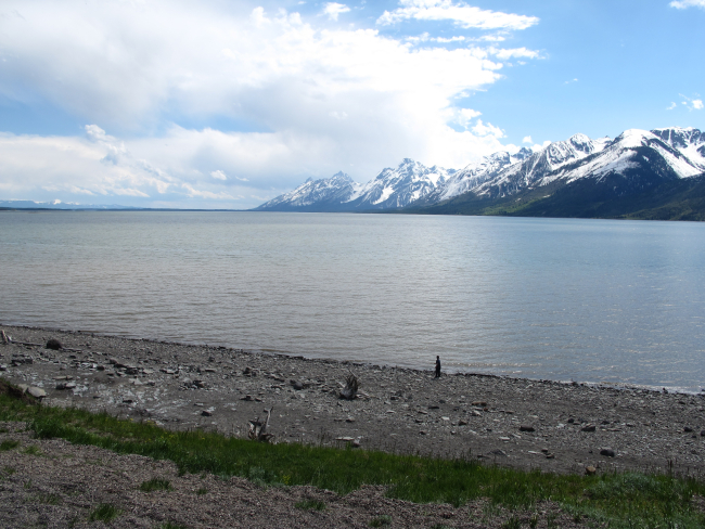 Jackson Lake with the Grand Teton Mountains coming down to the water's edge