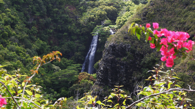 A glimpse of a waterfall surrounded by greenery and flowers