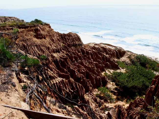 Rain-sculpted soft sediment eroding arroyo in Torrey Pines State Park