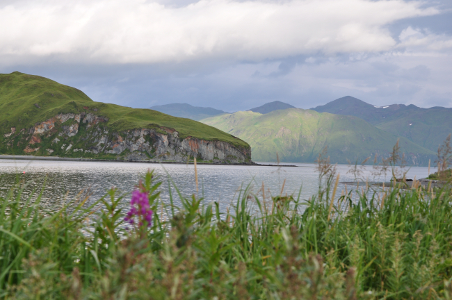 Mountains, moss, flowers, and inlets of Unalaska Island