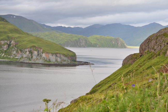 Mountains, moss, and inlets of Unalaska Island