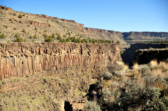 A classic example of columnar jointing in an outcrop of Columbia River basalt