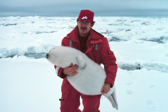 Aaahhhh! Isn't that the cutest little bundle of fur!  John Burns of the AlaskaDepartment of Fish and Game holding a ribbon seal pup - Phoca fasciata