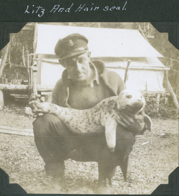 A crewman from a C&GS; ship in Alaska with a harbor seal pup (Phoca vitulina) 