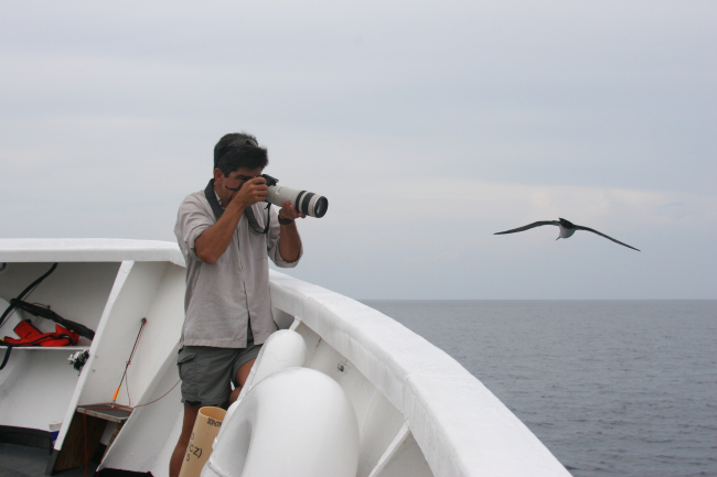 Photographer and bird go eye-to-eye on the NOAA Ship DAVID STARR JORDAN