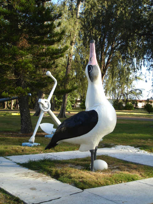 An albatross statue