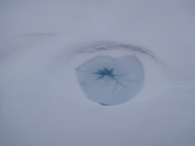 Sea breathing hole on sea ice