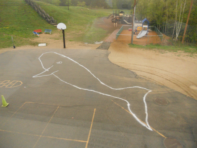 Outline of a Northern right whale drawn on the playground ofDeerfield Community School