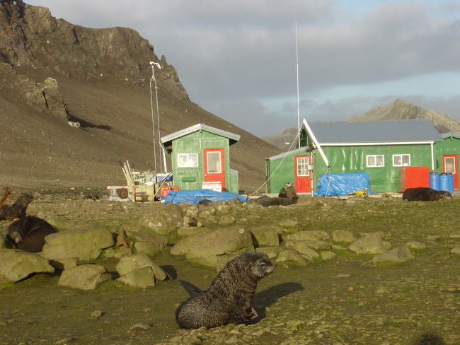 Scientist working and living quarters at fur seal rookery
