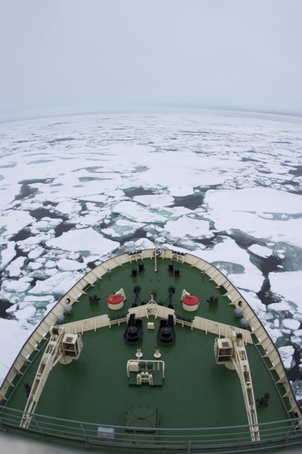 The KAPITAN DRANITSYN encounters its first sea ice during NABOS 2006