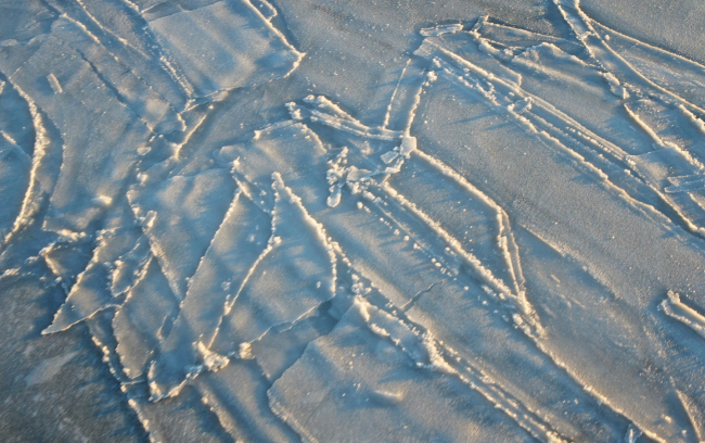 Polygons in the freezing ice