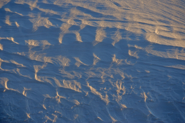 Wind-sculted snow patterns (sastrugi)
