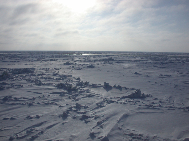 Multi-year sea-ice seen from USCGC HEALY