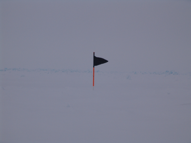 Marker flag painted black and orange to assure visibility against the whitebackground