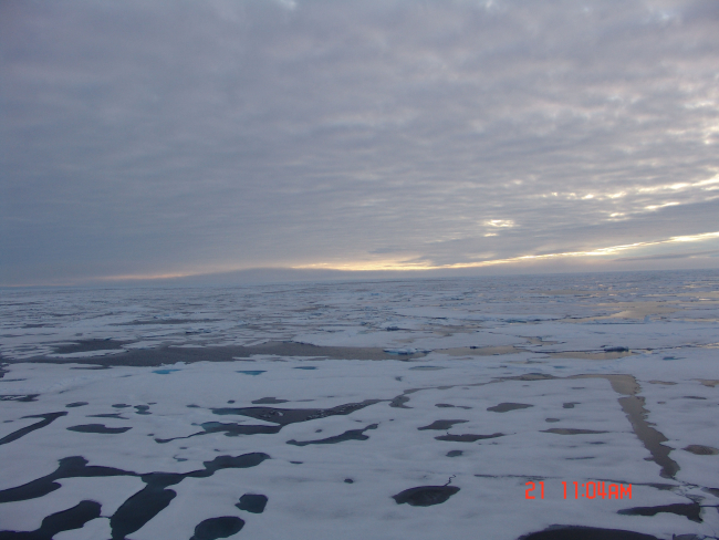 An overcast gray day gives gray appearance to ice, melt pools, and new iceforming over melt pools