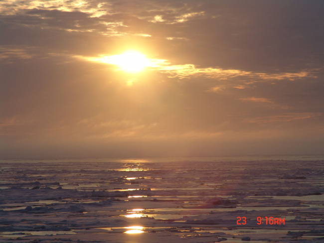 An amber sun reflecting off ice floes, melt pools and a polynya in the distance