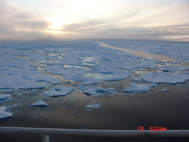 Ice floes, melt ponds and a lead between polynyas
