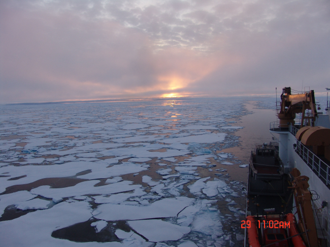 CGC HEALY passing through an extensive field of first year ice