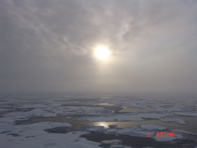 Sun seen through the clouds over first year ice floes