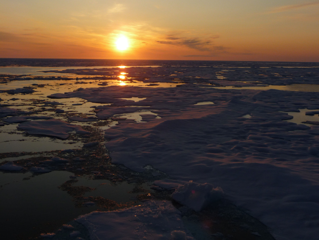 Sun reflecting off open water and ice floes