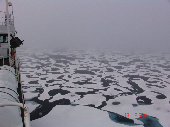 Melt pools and ice floes seen on a foggy Arctic day
