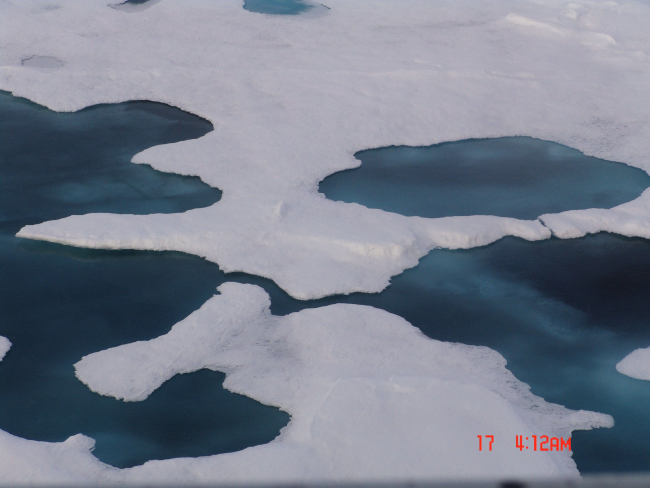 Ice floes and melt ponds with surface frozen over