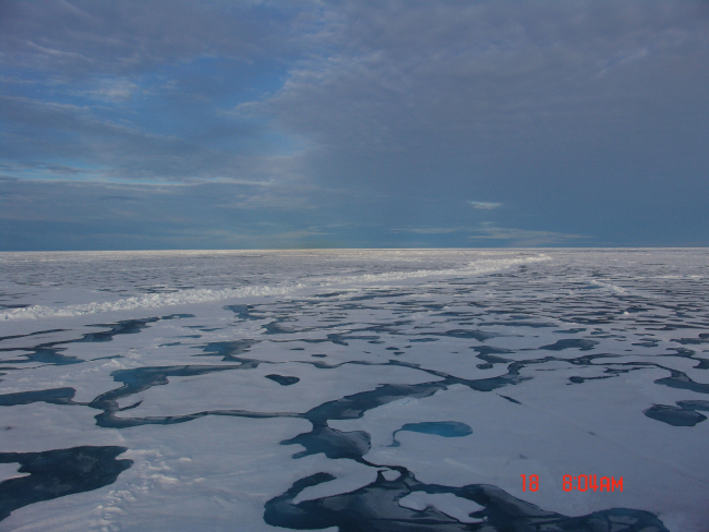 Ice floes with melt ponds separated by a linear ridge extending to the horizon