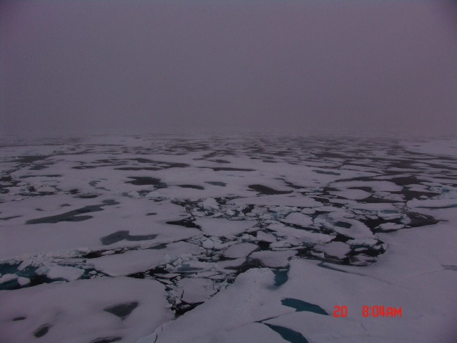 Ice floes, melt ponds, and some brash ice on a very gray dark Arctic day