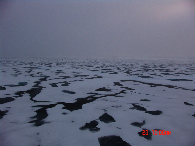 Ice floes and melt ponds on a gray day with a hint of sun illuminating fog andclouds to upper right