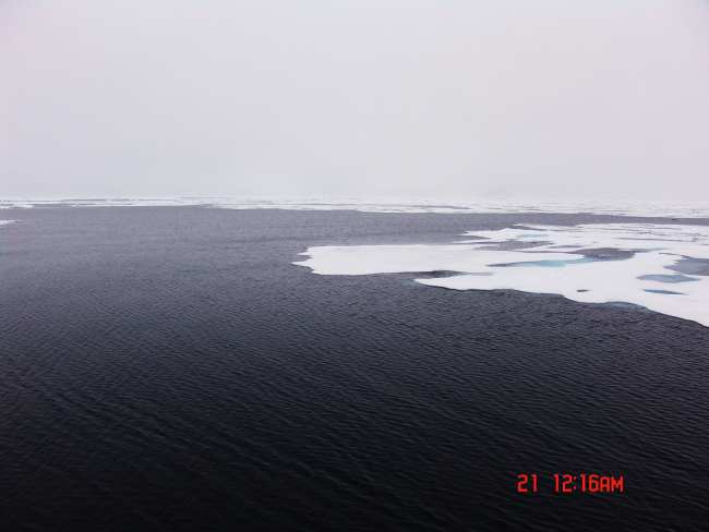 Ice floes on the edge of a polynya