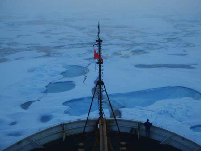 A lone observer watching melt ponds and ice floes pass below the bow of theUSCGC HEALY