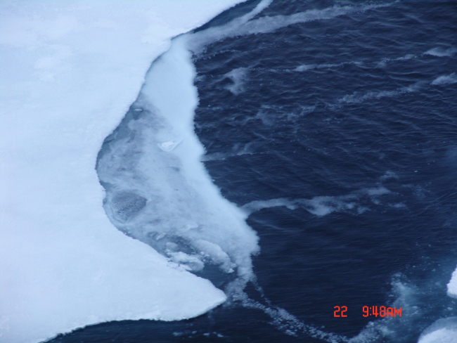 Frazil ice blowing into bands on surface next to ice floe