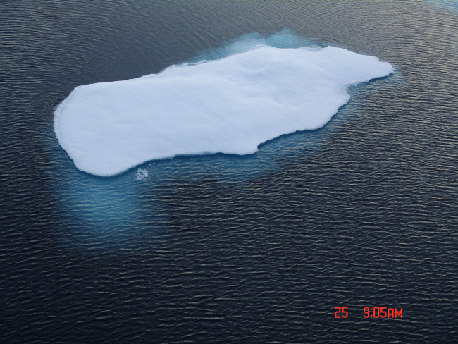 An ice floe in open water