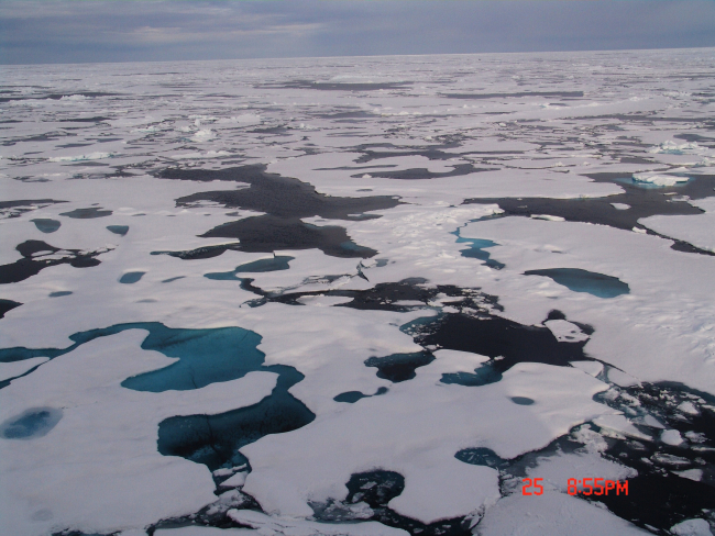 A junction area of multi-year ice floes with aquarine melt ponds and smootherfirst year ice