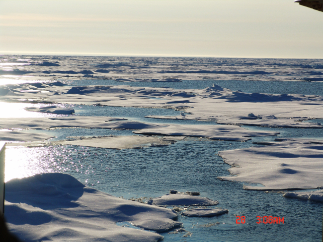 Ice floes in multi-year ice in late summer