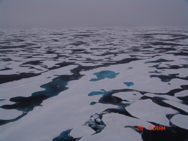 Refreezing melt ponds in multi-year ice