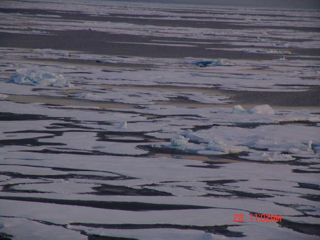 Relatively smooth ice floes in first-year ice