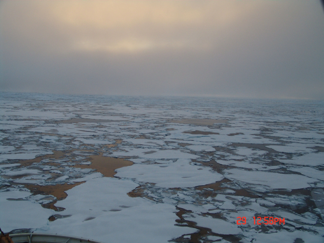 Relatively smooth first-year ice floes