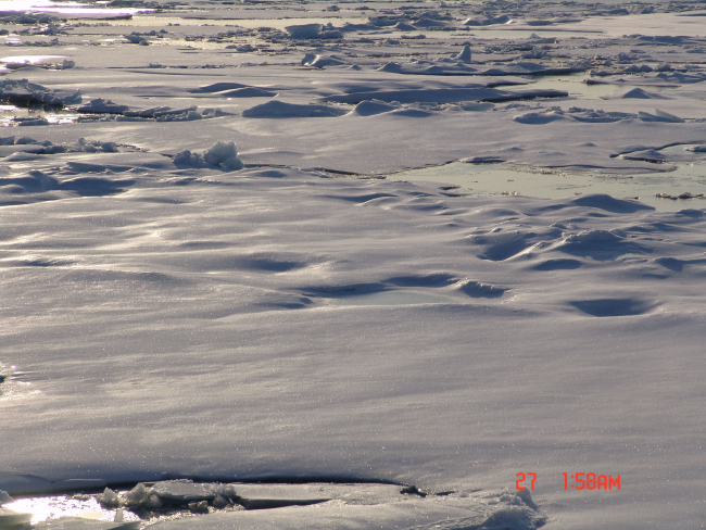 Multi-year ice floes and first year ice floes (smooth floes in upper left)coming together at end of Arctic summer