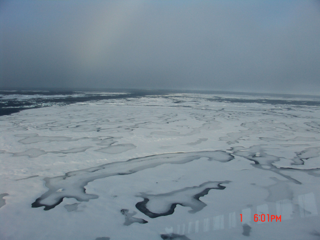 Multi-year ice floes with melt ponds almost completely frozen over