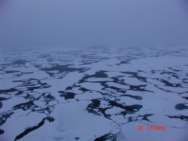 Passing through ice floes on a gray foggy day