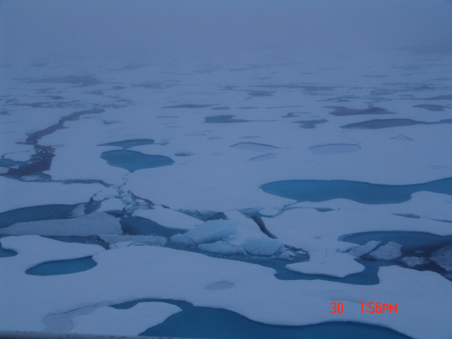 Passing through ice floes on a gray foggy day