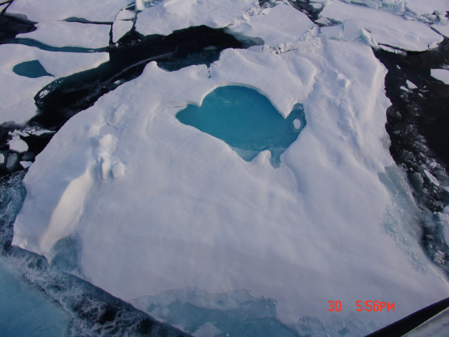 An intact melt pond on a multi-year ice floe