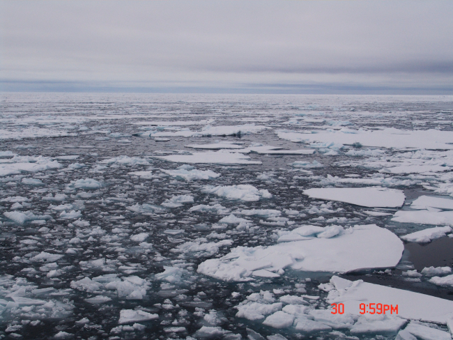 Brash ice and first-year ice floes