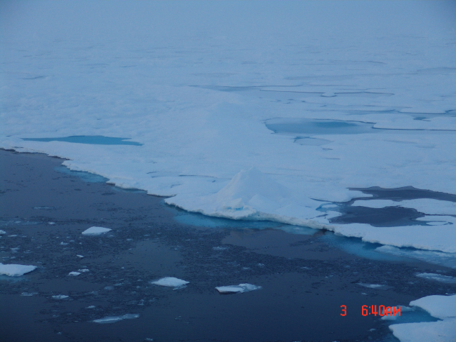 New ice forming along the edge of multi-year ice floes