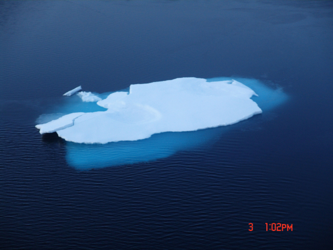 A single ice floe in an area of grease ice forming over open water