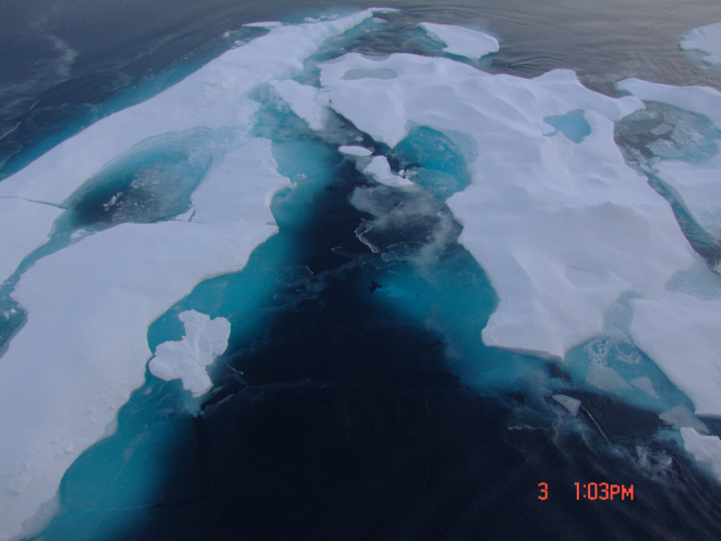 Nilas ice forming between floes of multi-year ice